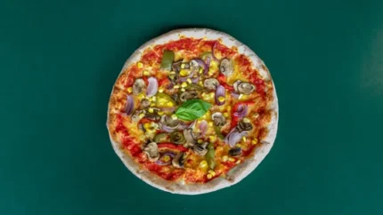Vegan Vegetable Classic